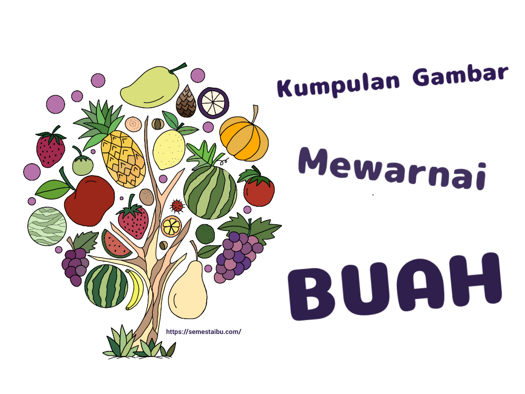 Detail Gambar Buah Untuk Anak Paud Nomer 39