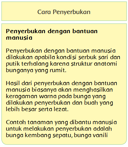 Detail Gambar Bunga Beserta Cara Penyerbukannya Nomer 33