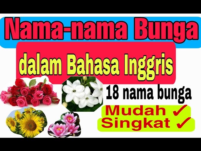 Detail Gambar Bunga Beserta Namanya Dalam Bahasa Inggris Nomer 2