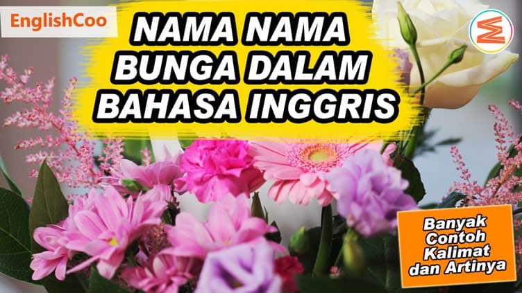 Detail Gambar Bunga Beserta Namanya Dalam Bahasa Inggris Nomer 27