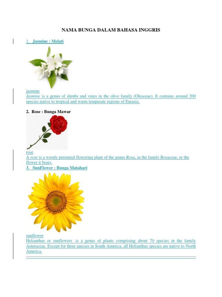 Detail Gambar Bunga Beserta Namanya Dalam Bahasa Inggris Nomer 4
