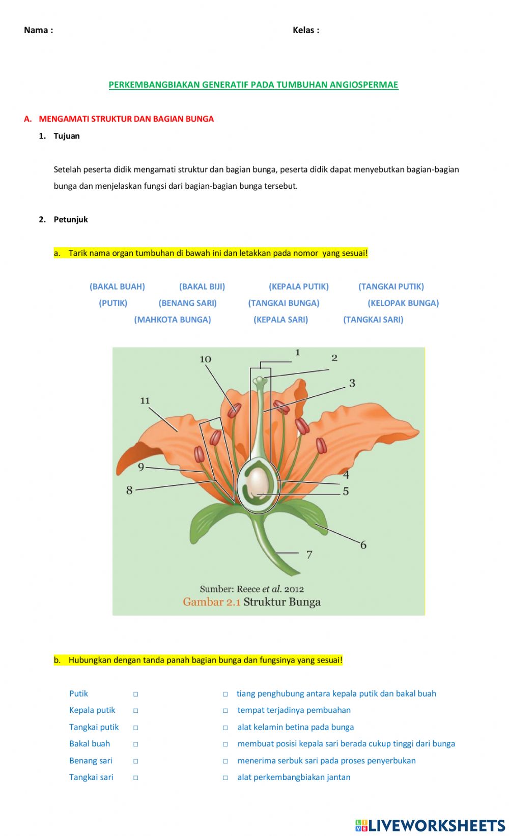 Detail Gambar Bunga Beserta Strukturnya Nomer 18