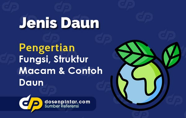 Detail Gambar Bunga Buah Dan Daun Beserta Keterangannya Nomer 23