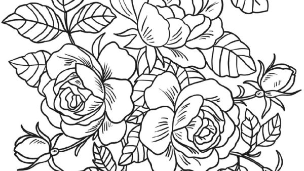 Detail Gambar Bunga Cantik Untuk Diwarnai Nomer 30