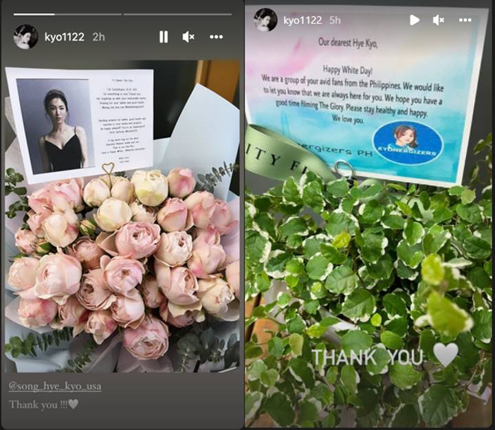 Detail Gambar Bunga Cantik Untuk Instagram Nomer 28