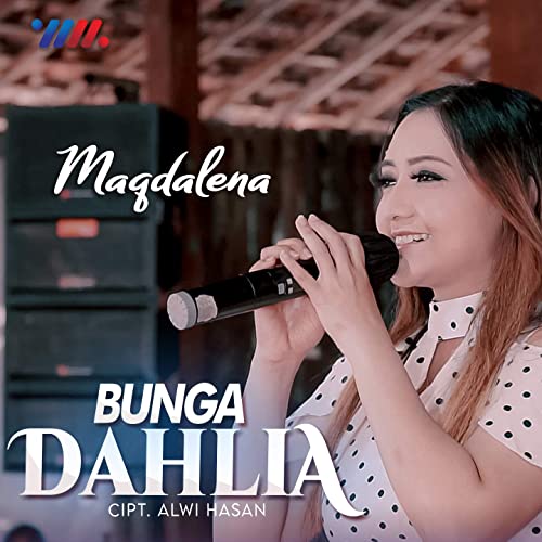 Detail Gambar Bunga Dahlia Adalah Nomer 32