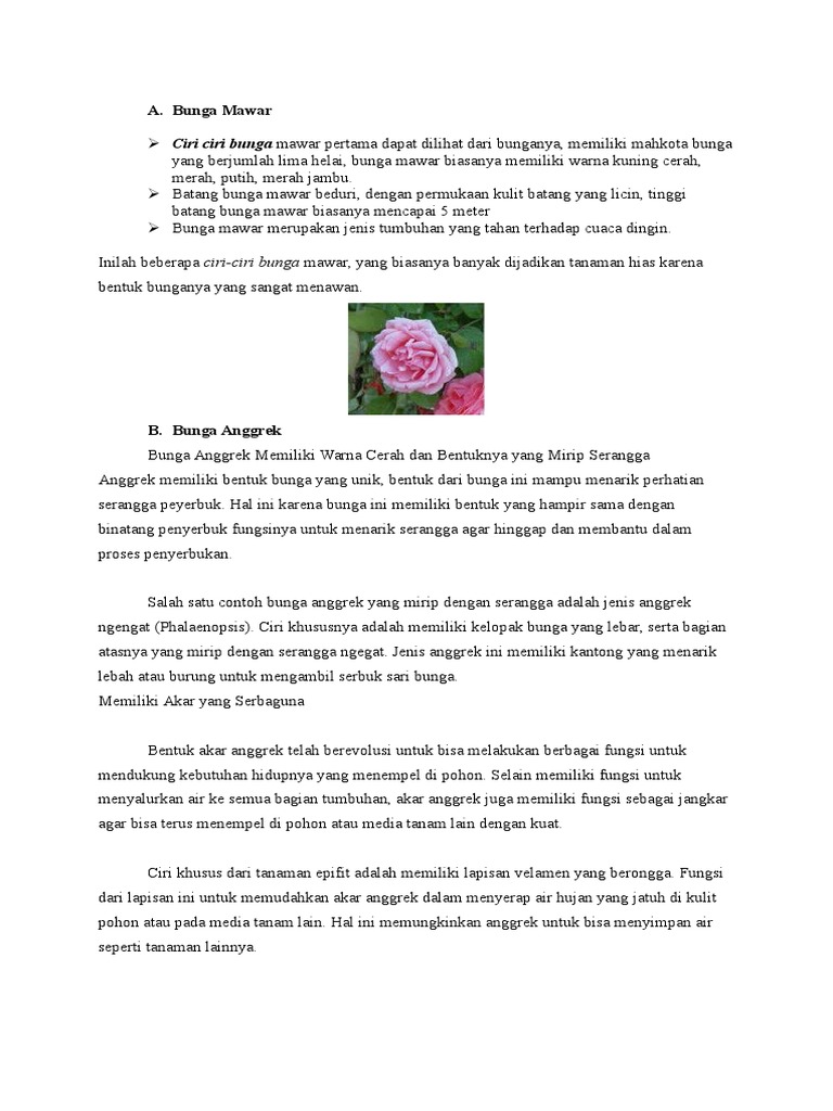 Detail Gambar Bunga Dan Bagian Bagiannya Dalam Bahasa Inggris Nomer 29