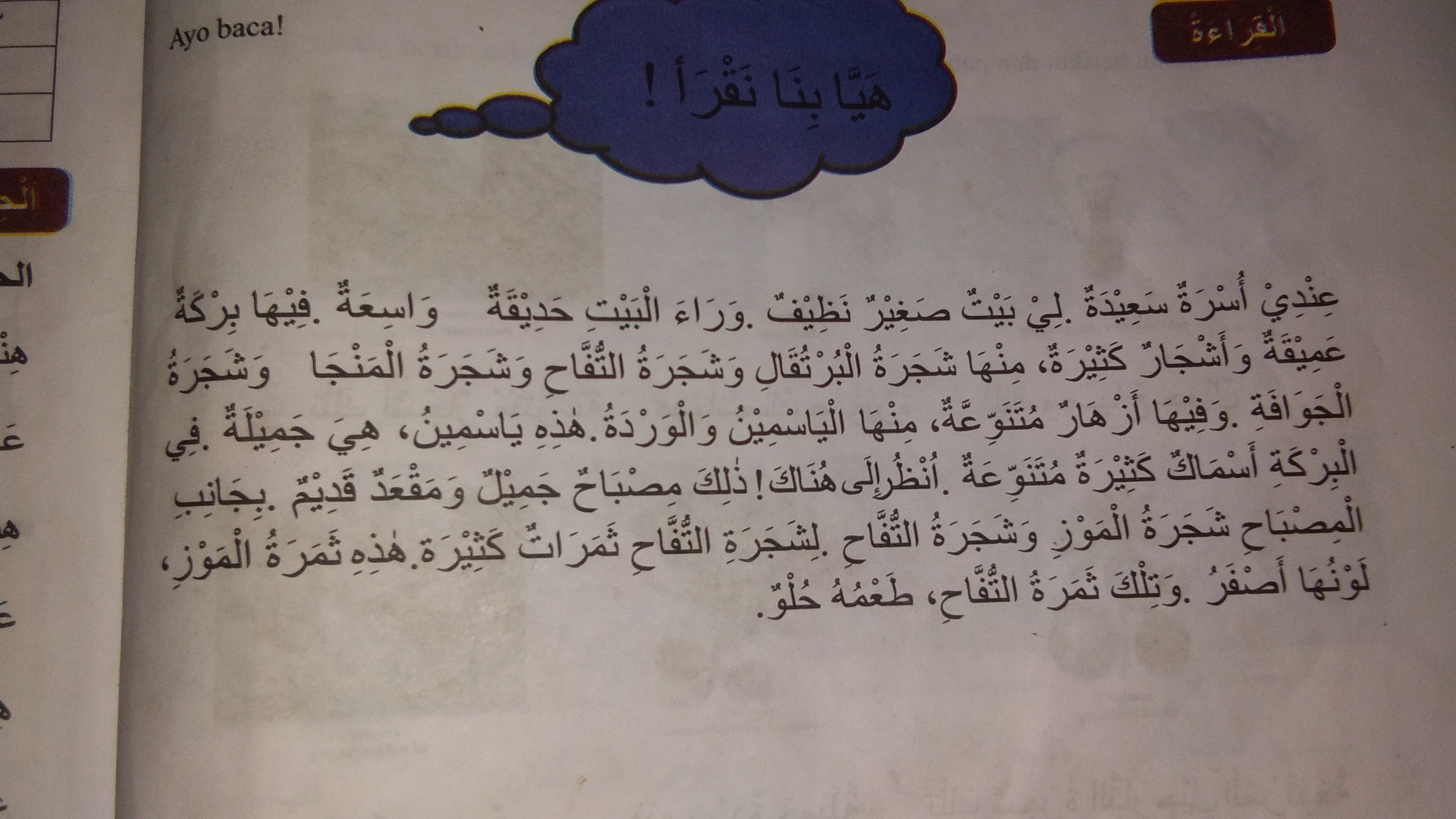 Detail Gambar Bunga Dan Bahasa Arabnya Nomer 41