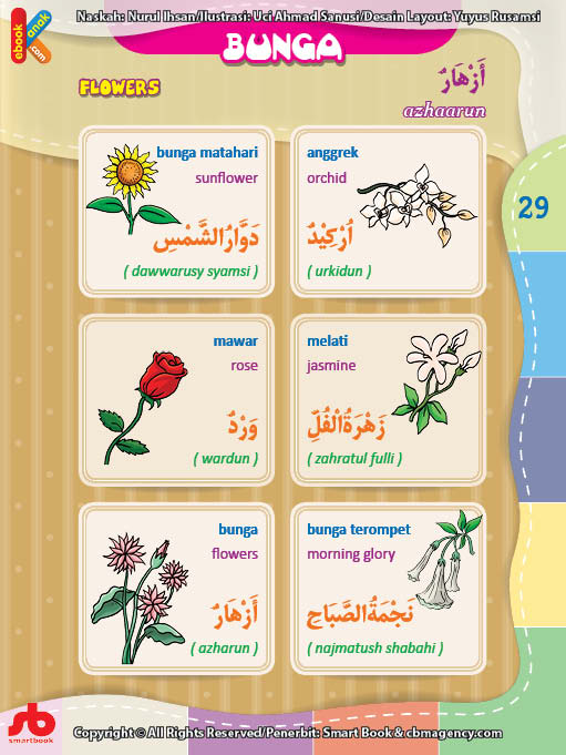 Detail Gambar Bunga Dan Namanya Dalam Bahasa Inggris Nomer 20