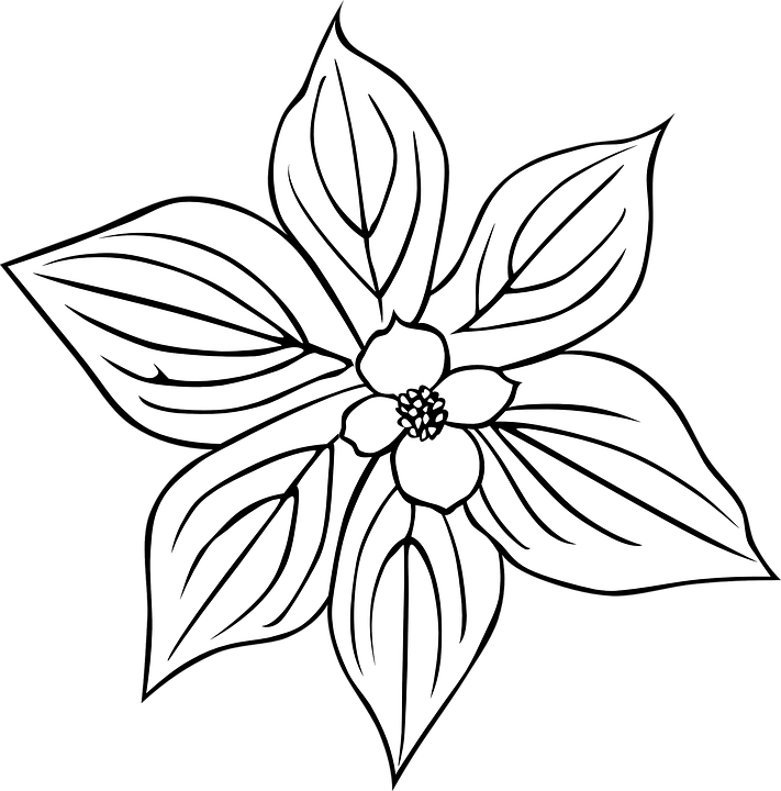 Detail Gambar Bunga Hitam Putih Vektor Nomer 16