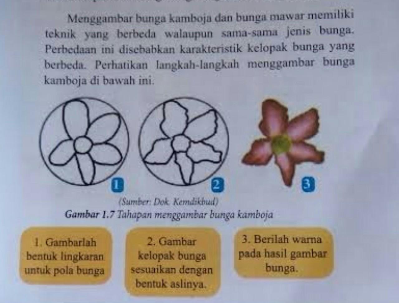 Detail Gambar Bunga Kamboja Dan Penjelasannya Nomer 36