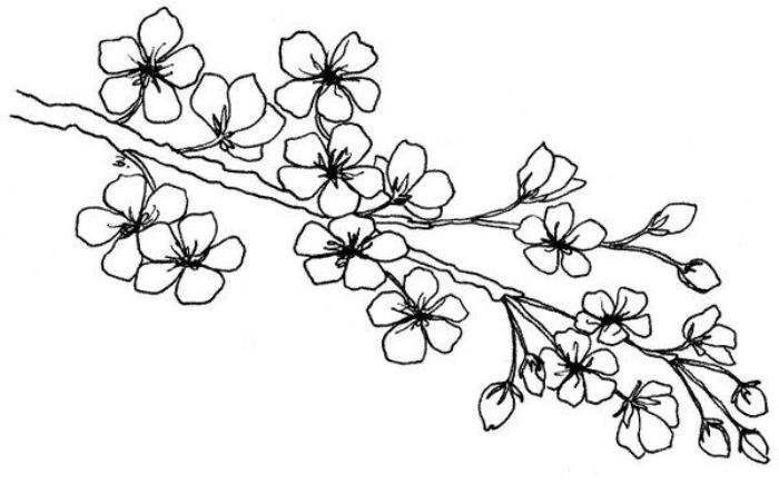 Detail Gambar Bunga Kartun Untuk Diwarnai Nomer 30
