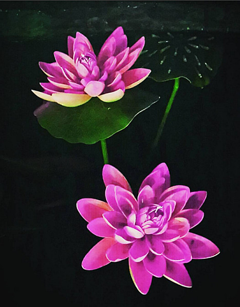 Detail Gambar Bunga Keren Untuk Instagram Nomer 30