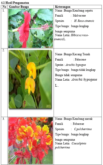 Detail Gambar Bunga Lengkap Beri Keterangan Dan Fungsinya Nomer 23