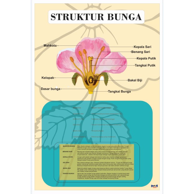 Detail Gambar Bunga Lengkap Dan Fungsinya Nomer 23