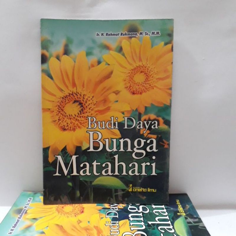 Detail Gambar Bunga Matahari Di Buku Gambar Nomer 24