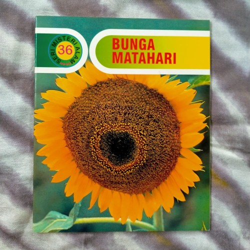 Detail Gambar Bunga Matahari Di Buku Gambar Nomer 41