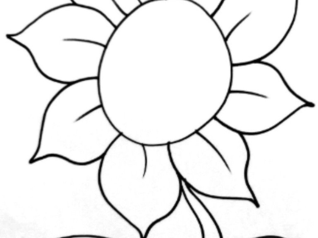 Detail Gambar Bunga Matahari Hitam Putih Untuk Diwarnai Nomer 34