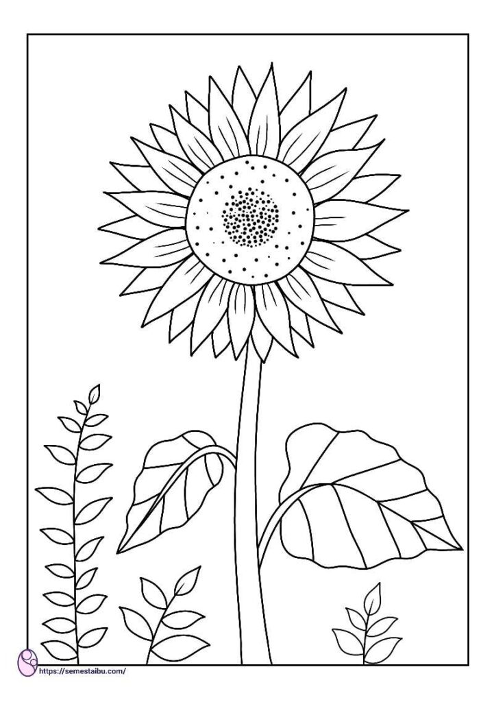 Detail Gambar Bunga Matahari Untuk Di Warnai Nomer 28