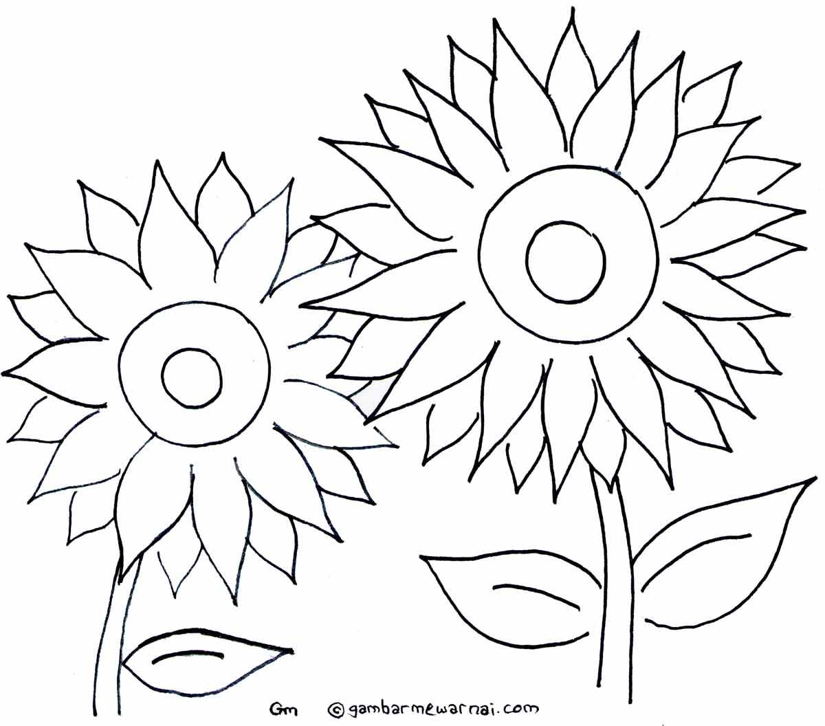 Detail Gambar Bunga Matahari Untuk Di Warnai Nomer 9