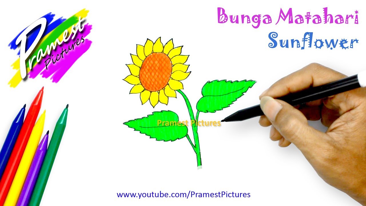 Detail Gambar Bunga Matahari Untuk Mewarnai Anak Tk Nomer 9