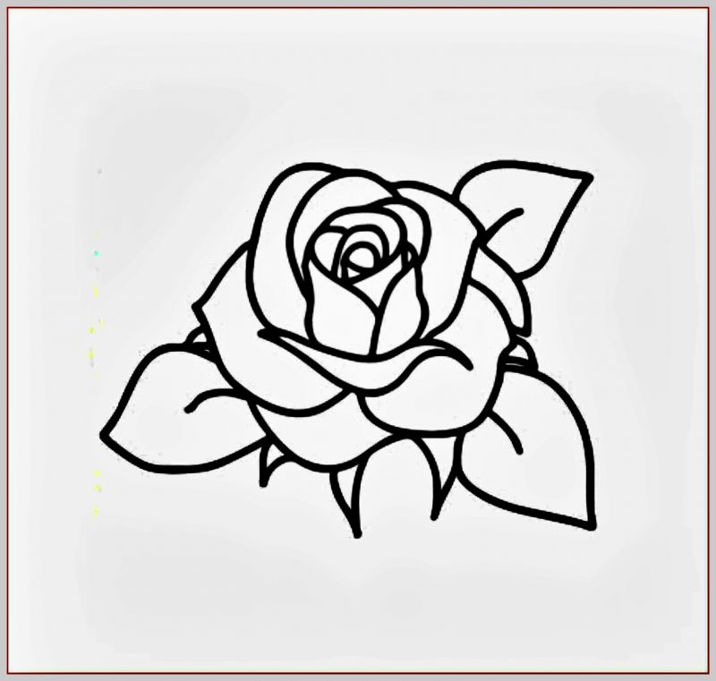 Detail Gambar Bunga Mawar Beserta Bagian Bagiannya Nomer 36
