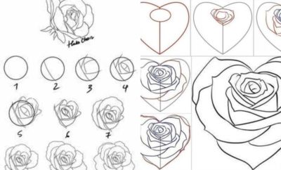 Detail Gambar Bunga Mawar Dan Cara Menggambarnya Nomer 42