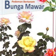 Detail Gambar Bunga Mawar Di Buku Gambar Nomer 11