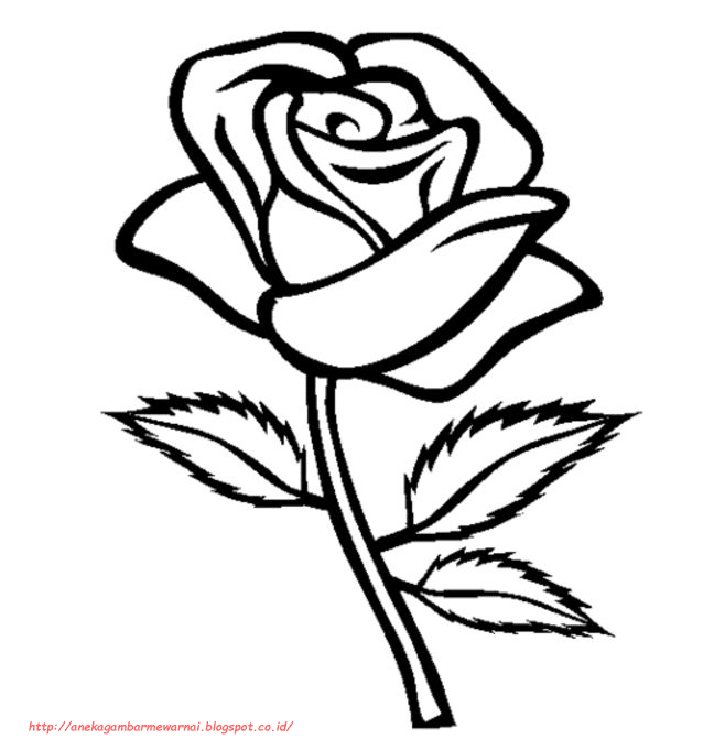 Gambar Bunga Mawar Hitam Putih Untuk Diwarnai - KibrisPDR
