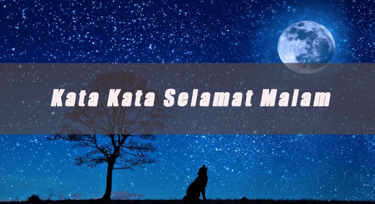 Detail Gambar Bunga Mawar Ucapan Selamat Malam Nomer 38