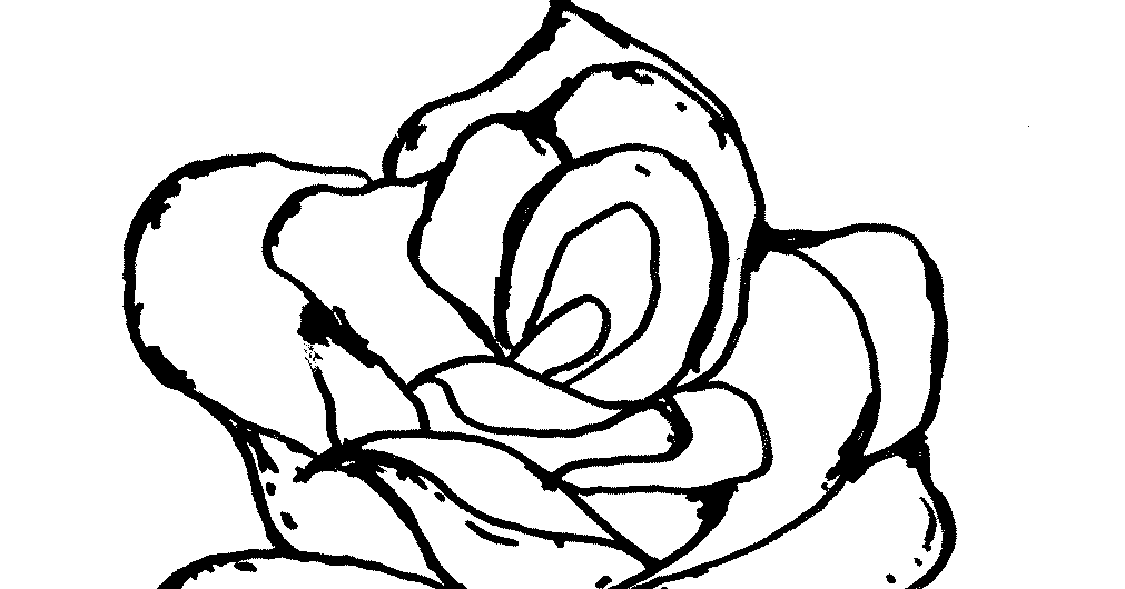 Detail Gambar Bunga Mawar Untuk Di Warnai Nomer 44