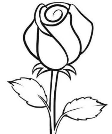 Detail Gambar Bunga Mawar Untuk Di Warnai Nomer 9