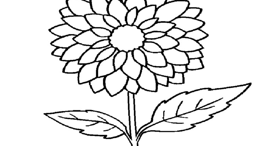 Detail Gambar Bunga Mawar Untuk Kolase Nomer 30