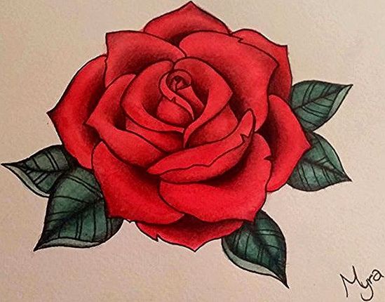 Detail Gambar Bunga Mawar Untuk Tato Nomer 13