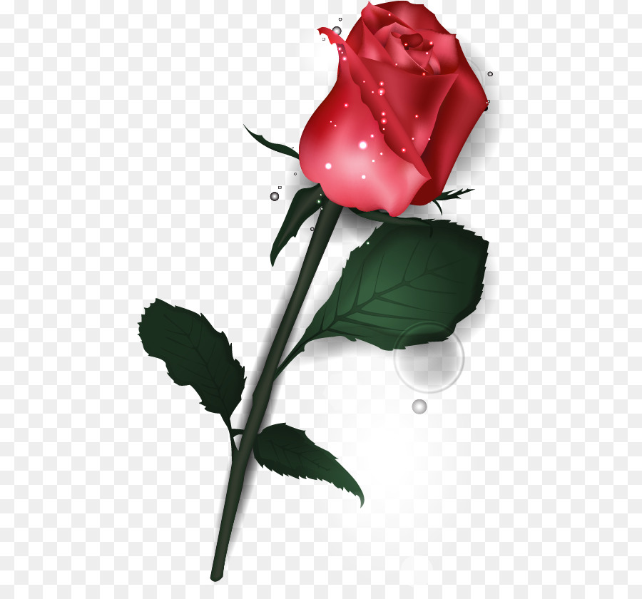 Detail Gambar Bunga Mawar Untuk Valentine Nomer 44
