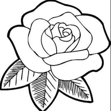 Detail Gambar Bunga Mawar Yang Mudah Untuk Digambar Nomer 30