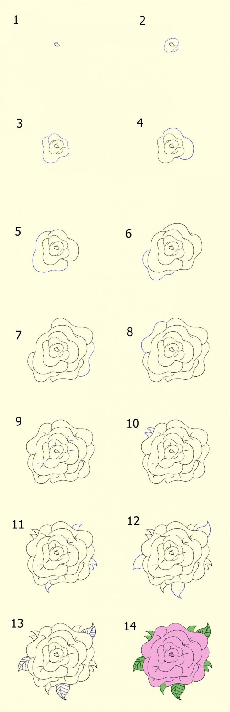 Detail Gambar Bunga Mawar Yang Mudah Untuk Digambar Nomer 32