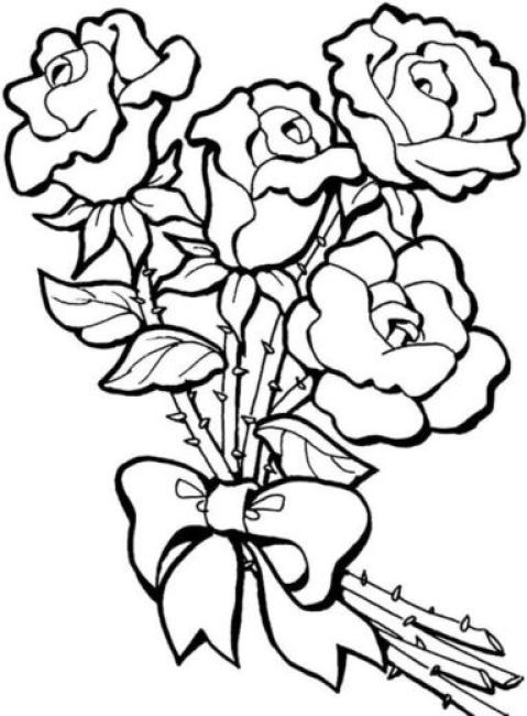 Detail Gambar Bunga Mawar Yang Mudah Untuk Digambar Nomer 33