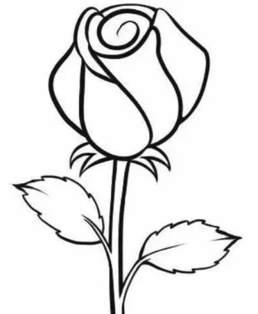 Detail Gambar Bunga Mawar Yang Mudah Untuk Digambar Nomer 7
