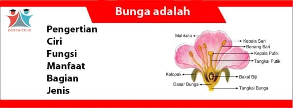 Detail Gambar Bunga Nama Bagian Dan Fungsinya Nomer 40