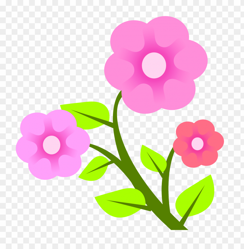 Detail Gambar Bunga Pink Png Gambar Flower Vektor Png Nomer 15