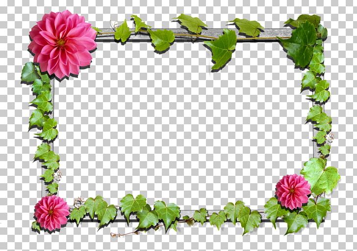 Detail Gambar Bunga Pink Png Gambar Flower Vektor Png Nomer 36