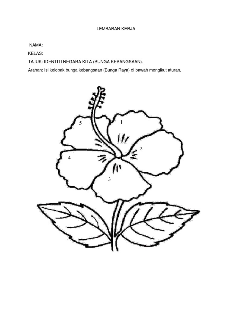 Detail Gambar Bunga Raya Untuk Mewarna Nomer 29