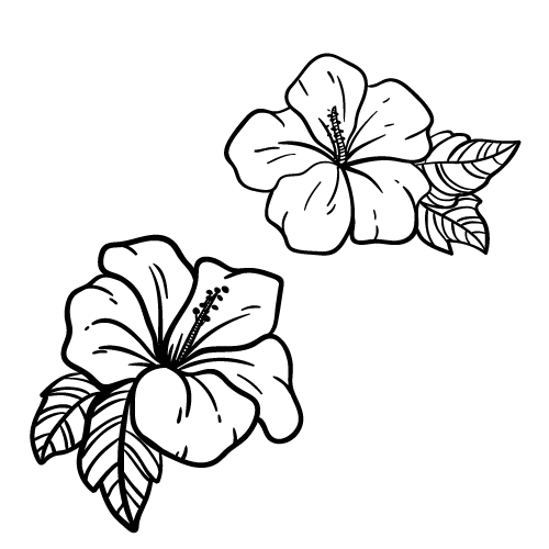 Detail Gambar Bunga Raya Untuk Mewarna Nomer 31