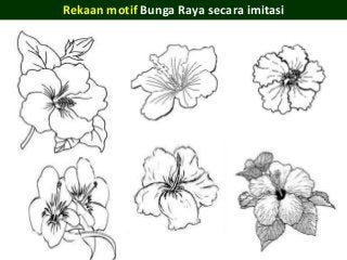 Detail Gambar Bunga Raya Untuk Mewarna Nomer 35