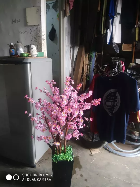 Detail Gambar Bunga Sakura Artificial Nomer 35