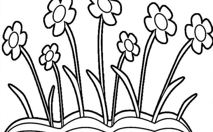 Detail Gambar Bunga Sakura Untuk Di Warnai Nomer 35