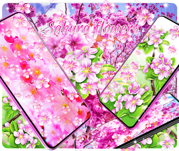 Detail Gambar Bunga Sakura Untuk Wallpaper Hp Nomer 42