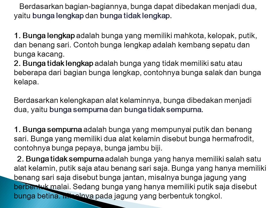 Detail Gambar Bunga Salak Beserta Bagiannya Nomer 41