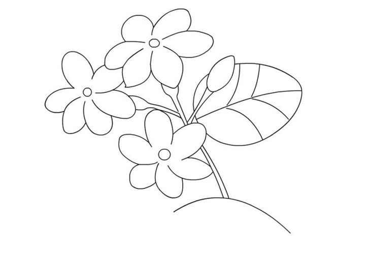 Detail Gambar Bunga Sederhana Untuk Anak Tk Nomer 8
